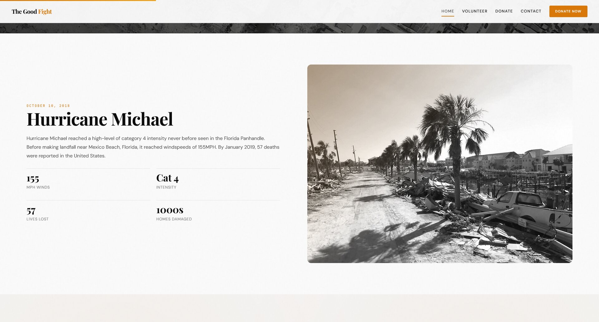 The Good Fight - Image 1